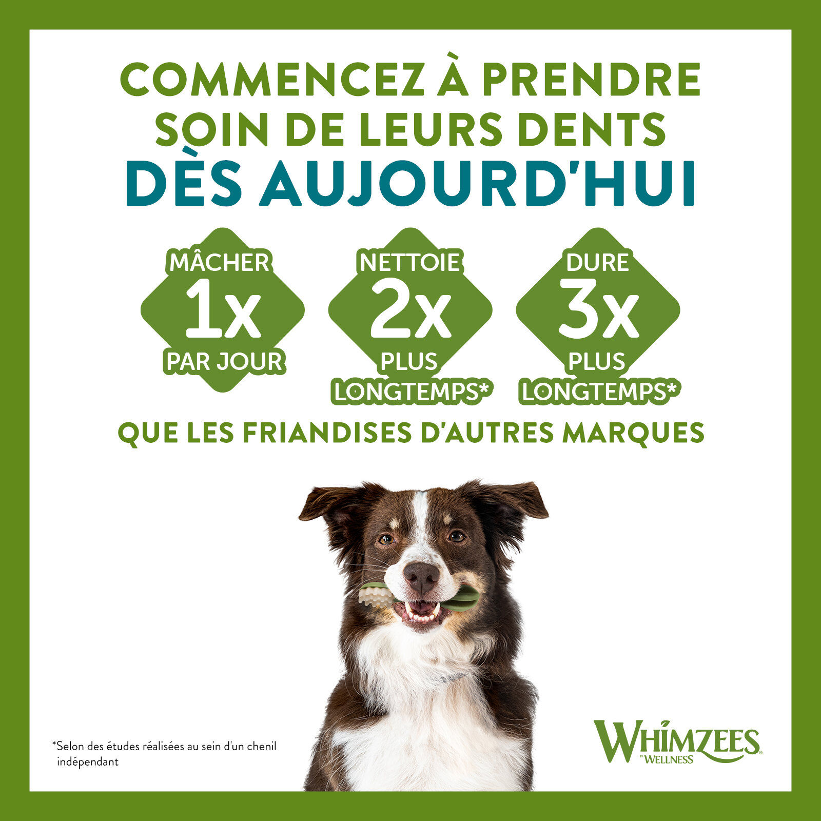 Whimzees - Friandises Nature Crocodile Dog Treats S pour Chien - x24 Image num&eacute;ro 5