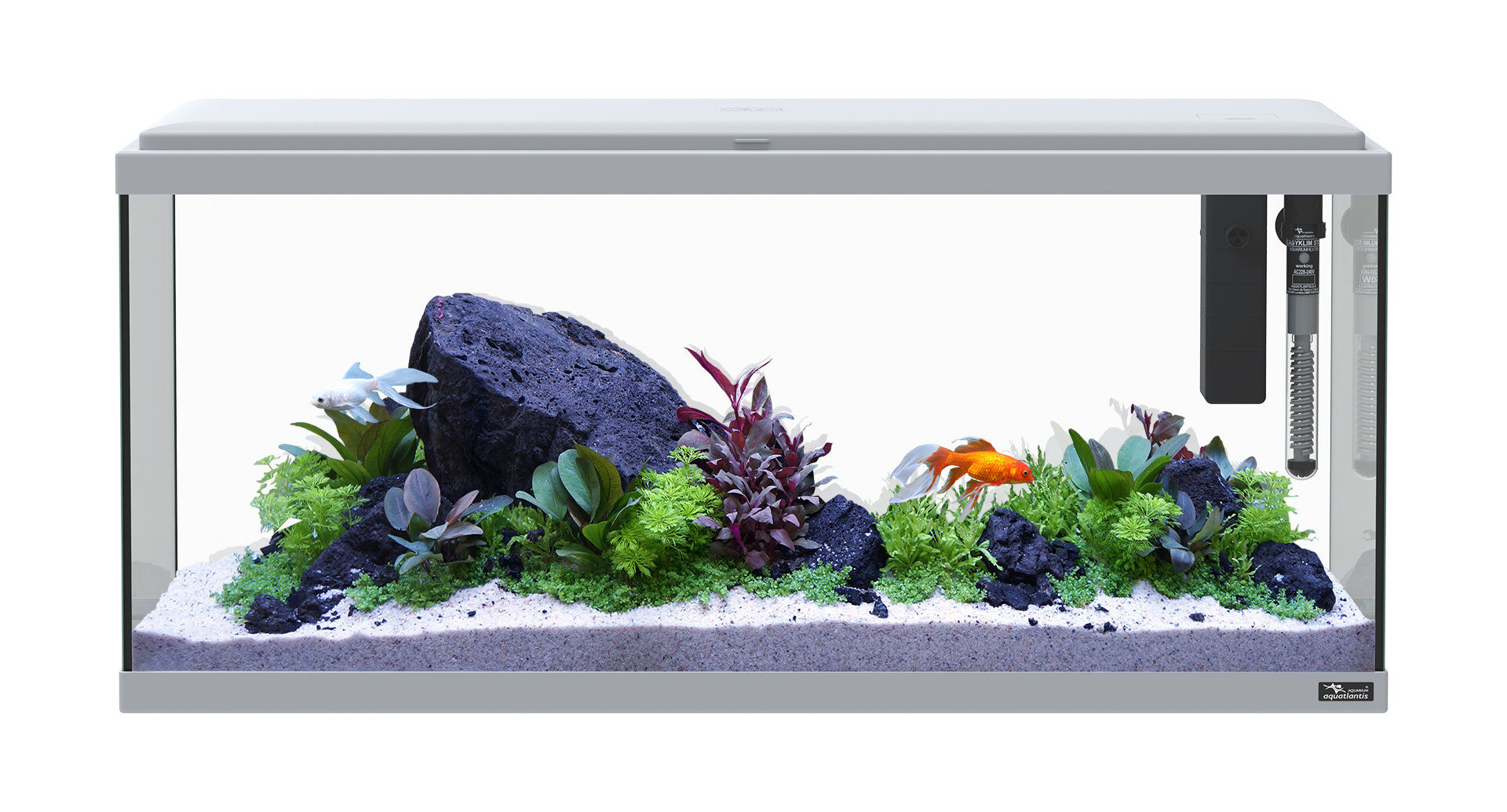 Aquatlantis - Aquarium Explorer Amsterdam 80 Equip&eacute; - Gris Clair Image num&eacute;ro 2