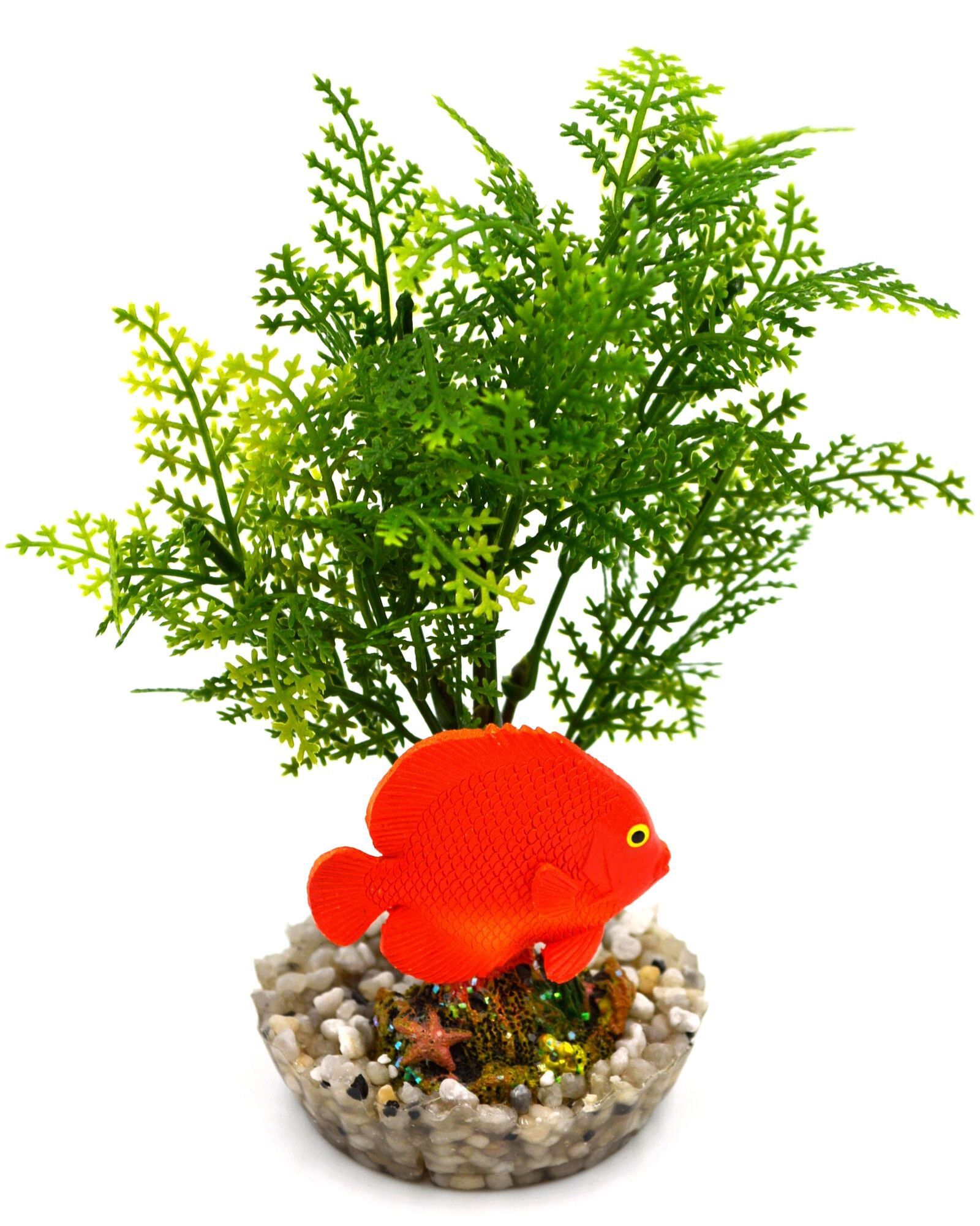 Labeo - Plante de D&eacute;coration Poisson d'eau Douce pour Aquarium Image num&eacute;ro 4