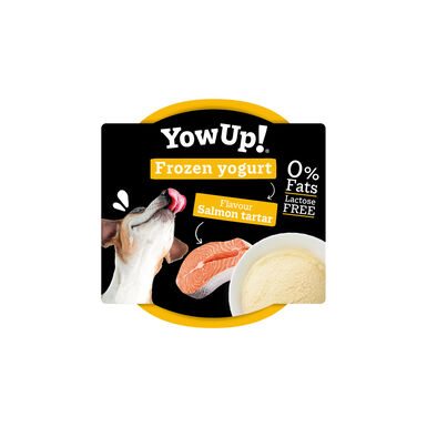 Yowup -  Yaourt Glacé au Tartare Saumon pour Chiens - 110g