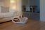 Ferplast - Corbeille Siesta Deluxe 8 Bordeaux pour Chiens Indicateur image numéro 10