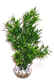 Labeo - Plante de Décoration Microsorium pour Aquarium