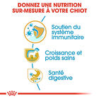 Royal Canin - Croquettes Puppy Labrador Retriever pour Chiots - 3Kg image number null