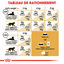 Royal Canin - Croquettes Siamese Adult pour Chats - 2Kg Indicateur image numéro 6