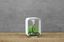 Oase - Aquarium BiOrb Life 15L LED - Blanc Indicateur image numéro 8