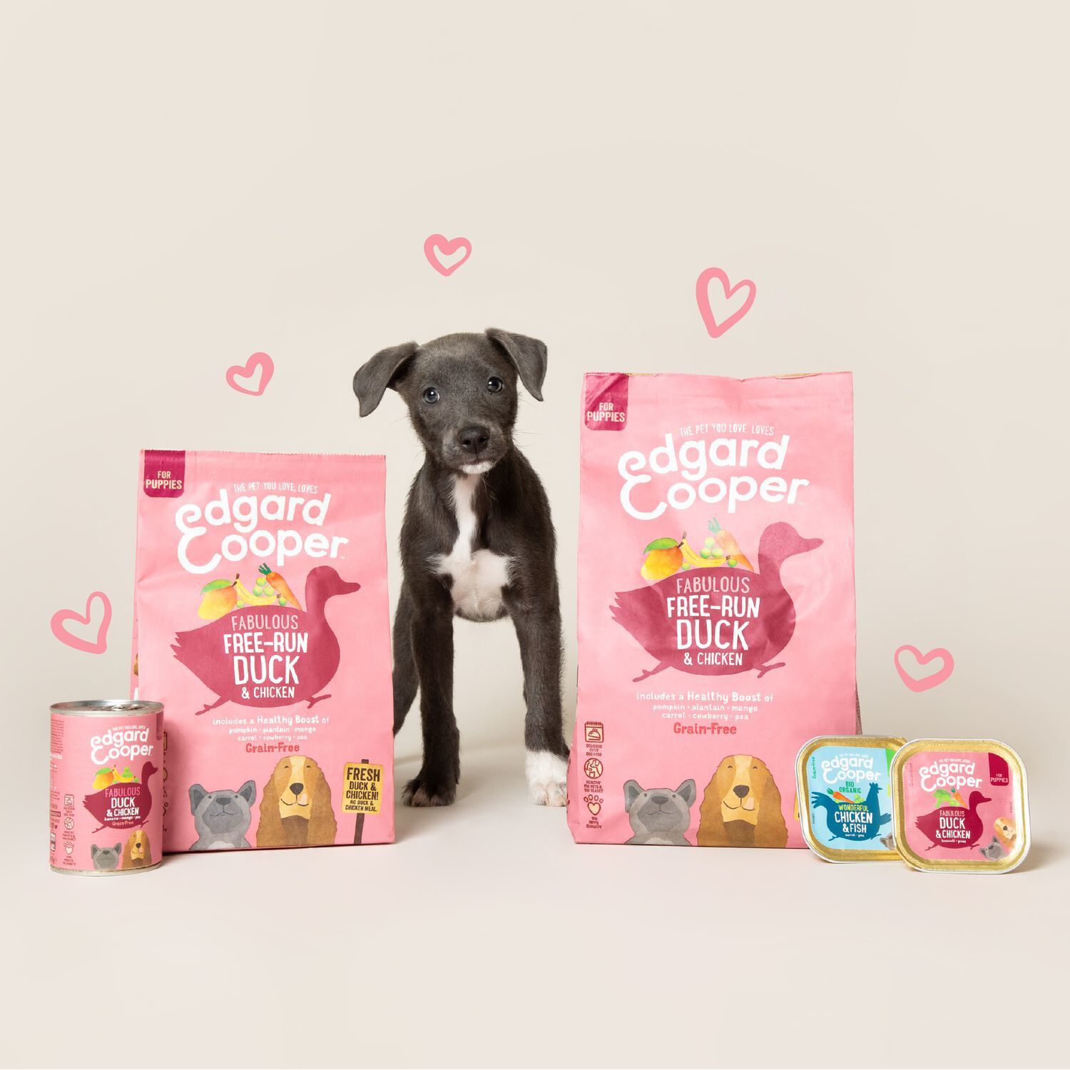 Edgard & Cooper - Bo&icirc;te au Canard et Poulet pour Chiot - 400g Image num&eacute;ro 3