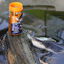 JBL - Friandises Proterra Molluscus pour Tortues d'Eau et Cistudes - 250ml Indicateur image num&eacute;ro 5