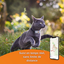 Weenect Cats 2 - Collier GPS Connecté pour Chat Indicateur image numéro 3