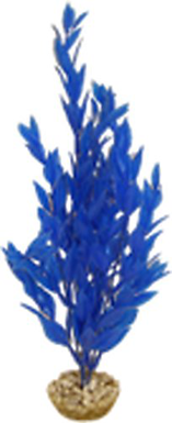 Labeo - Cycared coloré - Plante Artificielle Aquarium