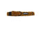 Gotoo - Collier Ourson Brun pour Chien - M Indicateur image num&eacute;ro 1