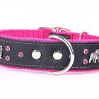 Yogipet - Collier Bulldog Cuir Crystal T55 39/50cm pour Chien - Noir/Rose image number null
