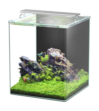 Aquatlantis - Kit Kubus Curve 65L Equipé