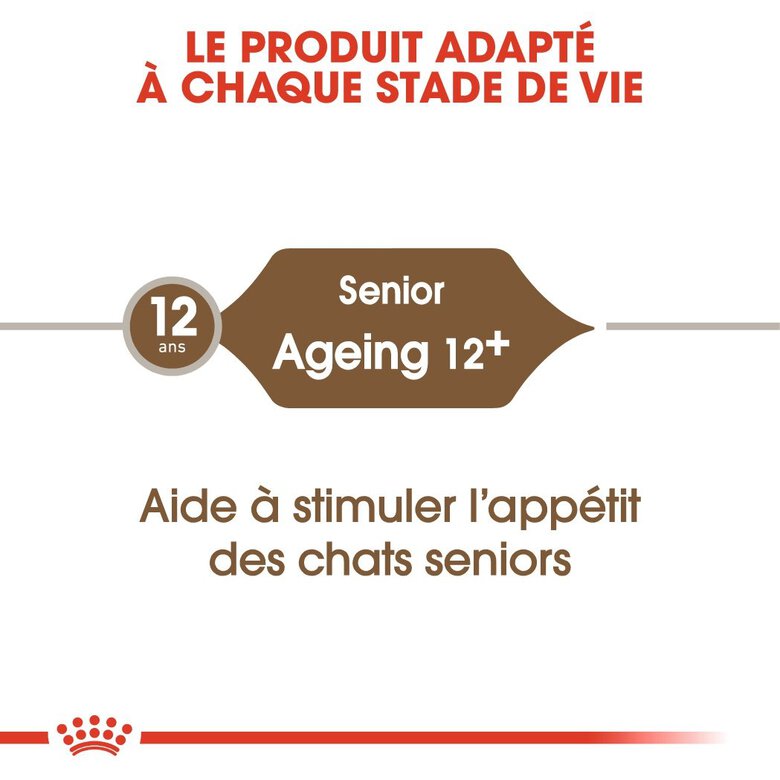 Royal Canin - Croquettes Ageing +12 pour Chat Senior - 4Kg Image numéro 3 Royal Canin - Croquettes Ageing +12 pour Chat Senior - 4Kg Image numéro 3