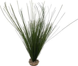 Labeo - D&eacute;coration Cyperus pour Terrarium et Aquarium