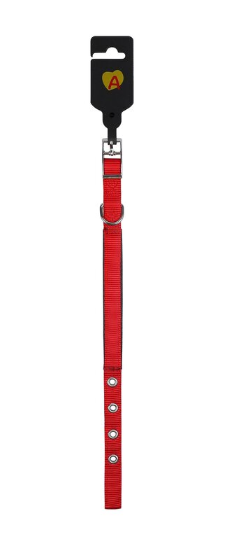 Animalis - Collier Basic Confort Rouge pour Chien - 15mm et 35cm Image numéro 2 Animalis - Collier Basic Confort Rouge pour Chien - 15mm et 35cm Image numéro 2