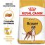 Royal Canin - Croquettes Boxer pour Chien Adulte - 12Kg Indicateur image numéro 1