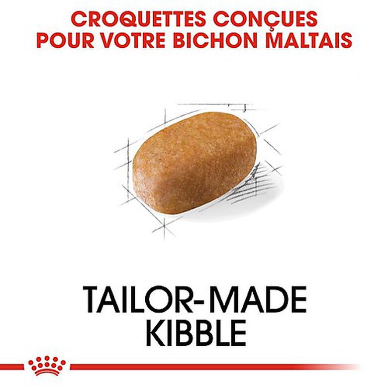 Royal Canin - Croquettes Maltese Adult Bichon Maltais pour Chiens - 1,5Kg image number null