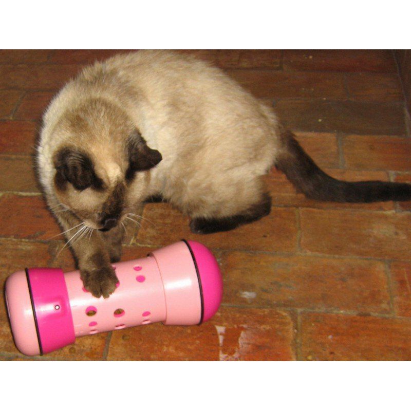 Pipolino - Jouet Distributeur de Croquettes PIPOLINO M pour Chats - Tricolore Image num&eacute;ro 2