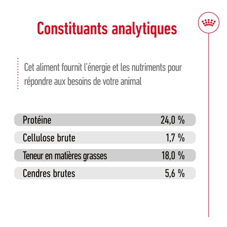 Royal Canin -  Croquettes X SMALL ADULT CHIEN DE TRES PETITE TAILLE - 500G Image numéro 7 Royal Canin -  Croquettes X SMALL ADULT CHIEN DE TRES PETITE TAILLE - 500G Image numéro 7