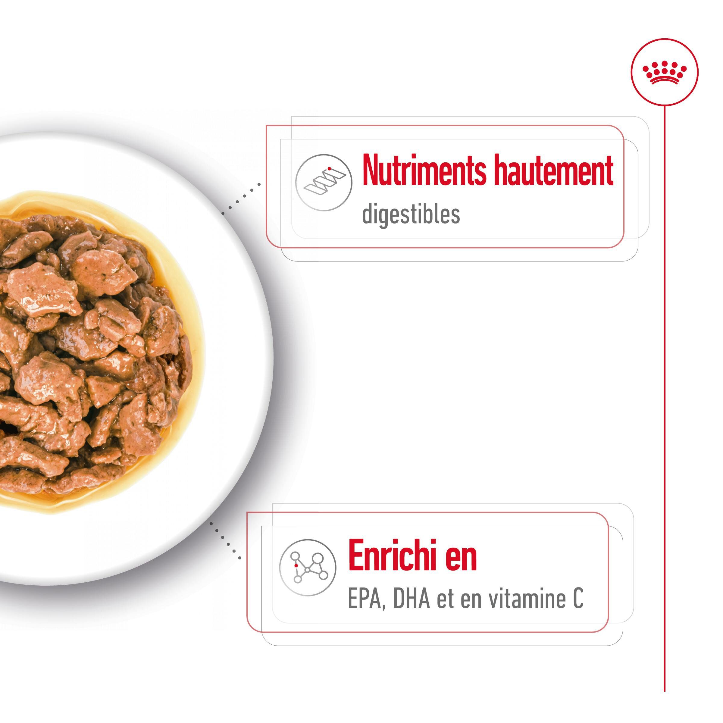 Royal Canin - Sachets Humides en Sauce X-Small Adult - 12x85g Image num&eacute;ro 5