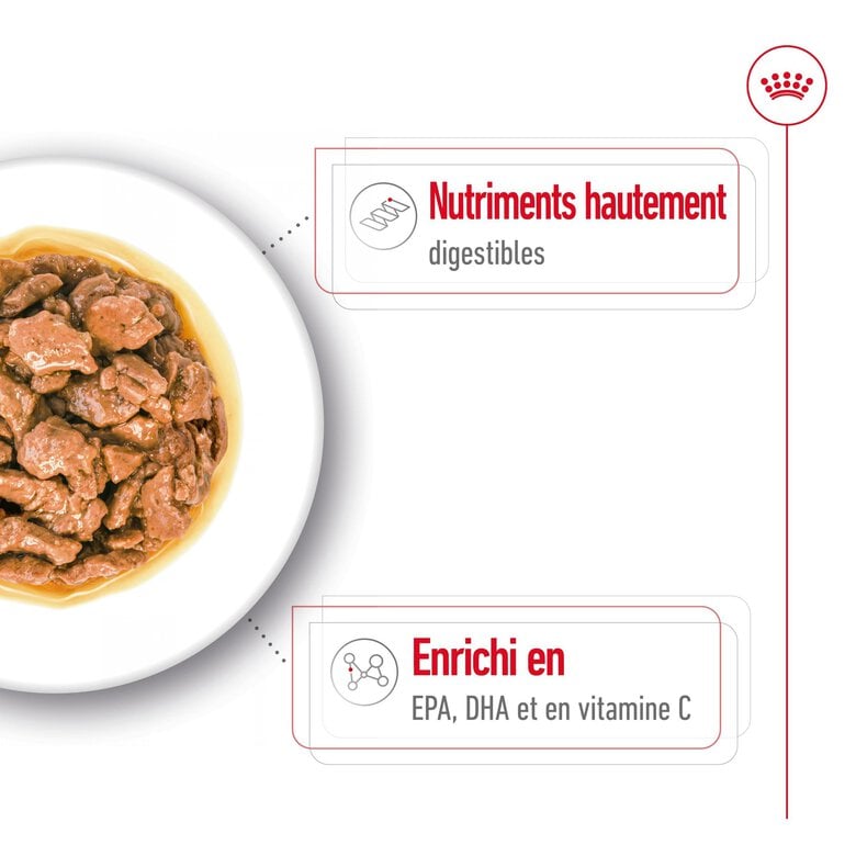 Royal Canin - Sachets Humides en Sauce X-Small Adult - 12x85g Image numéro 5 Royal Canin - Sachets Humides en Sauce X-Small Adult - 12x85g Image numéro 5