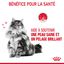 ROYAL CANIN - PÂTEE HAIR & SKIN EN MOUSSE CHAT ADULTE PEAU ET PELAGE - 12x85g Indicateur image numéro 3