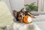 Trixie - ECUREUIL ROND EN PELUCHE - 13 CM Indicateur image numéro 2