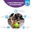 Outward Hound - Jouet Balle à Renifler Dog Snuffle N' Treat - 12,7cm Indicateur image numéro 3