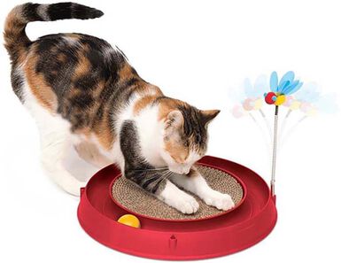 Catit - Jouet Play Circuit 3 en 1 pour Chats - Orange
