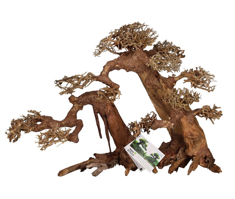 Aquavie - Décoration Bonsaï Nature pour Aquarium - XXXL Image numéro 1 Aquavie - Décoration Bonsaï Nature pour Aquarium - XXXL Image numéro 1
