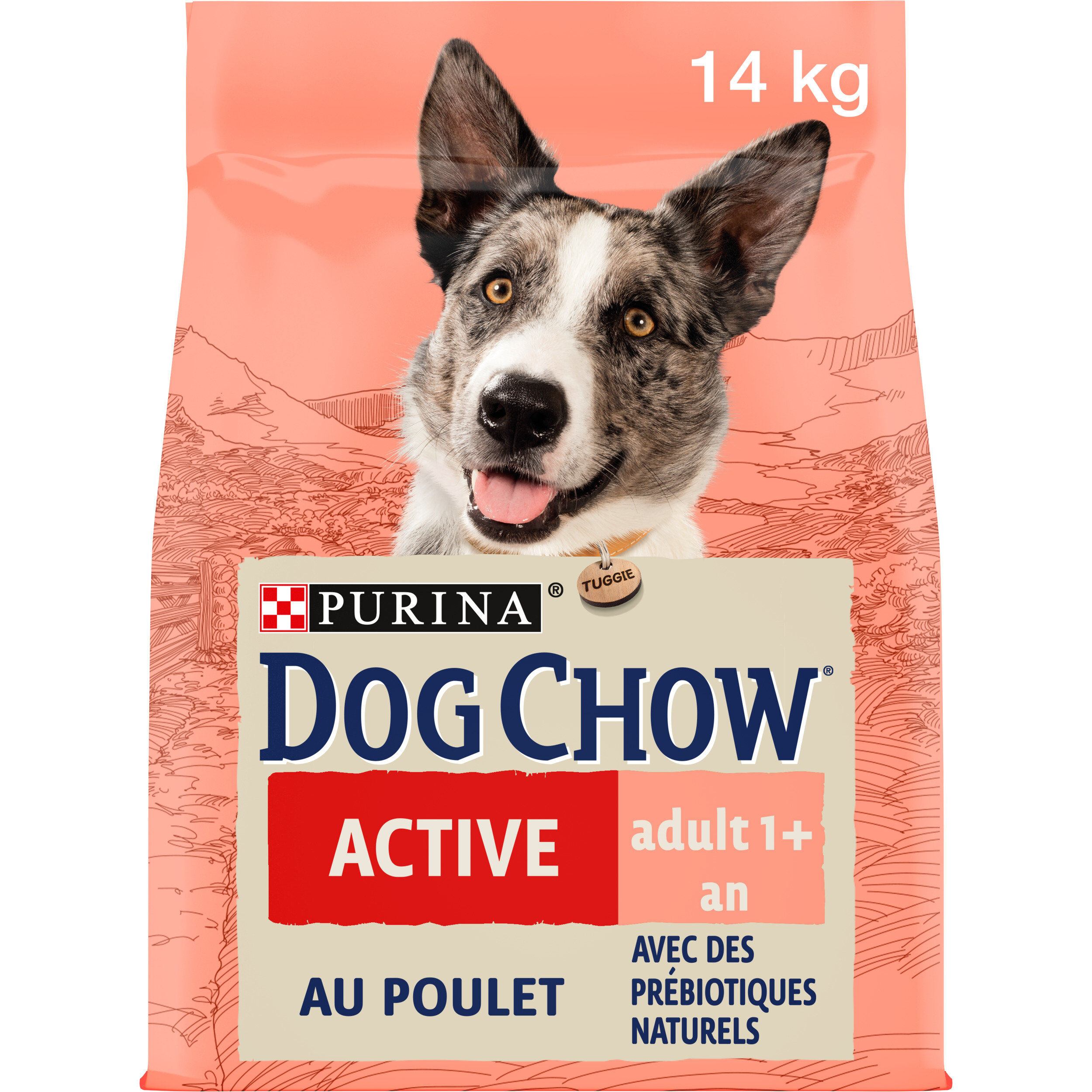 Dog Chow - Croquettes Active au Poulet pour Chien - 14Kg Image num&eacute;ro 3