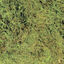 Zoomed - Mousse Terrarium Moss pour Terrarium - S Indicateur image numéro 2