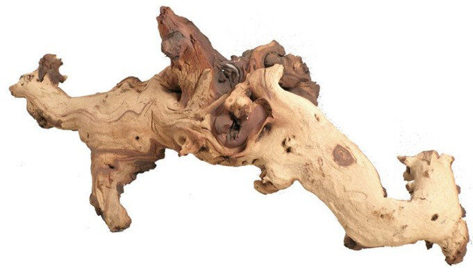 Aquavie - D&eacute;coration Racine Mopani pour Aquarium - GM Image num&eacute;ro 1