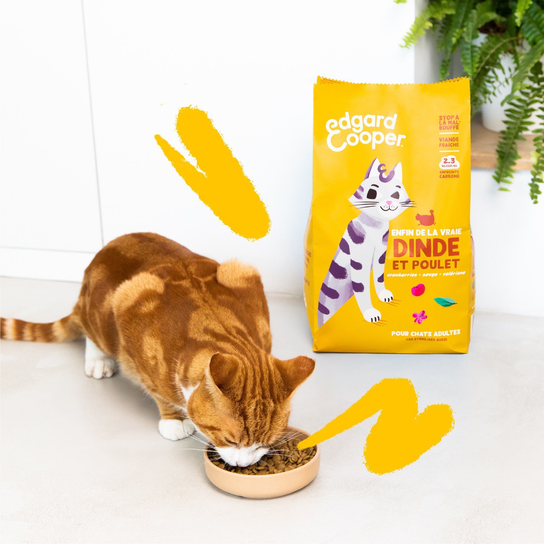Edgard & Cooper - Croquettes &agrave; la Dinde et au Poulet pour Chat Adulte - 2Kg Image num&eacute;ro 3