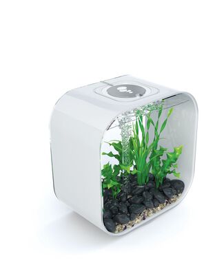 biOrb - Aquarium Life - 30 mcr blanc