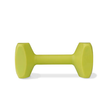 Company of Animals - Jouet Coachi Training Dumbbell Vert pour Chiens