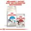 Royal Canin - Croquettes Indoor 27 Chat d'Intérieur pour Chat Adulte - 4Kg Indicateur image numéro 7