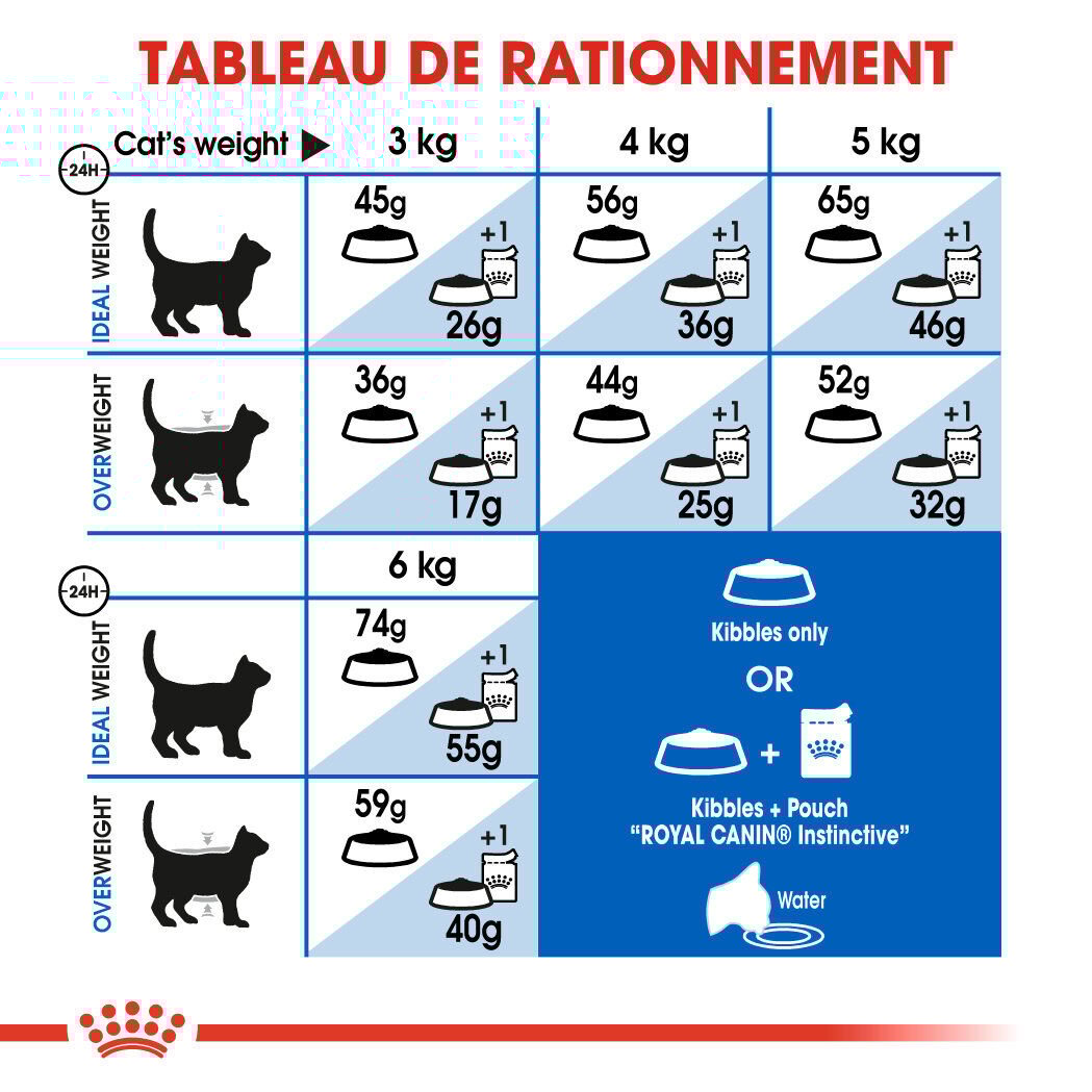 Royal Canin - Croquettes Indoor 27 pour Chat - 10Kg Image num&eacute;ro 2