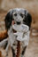 Hunter - Jouet Peluche Barry Forme de Chiens - 16cm Indicateur image numéro 2