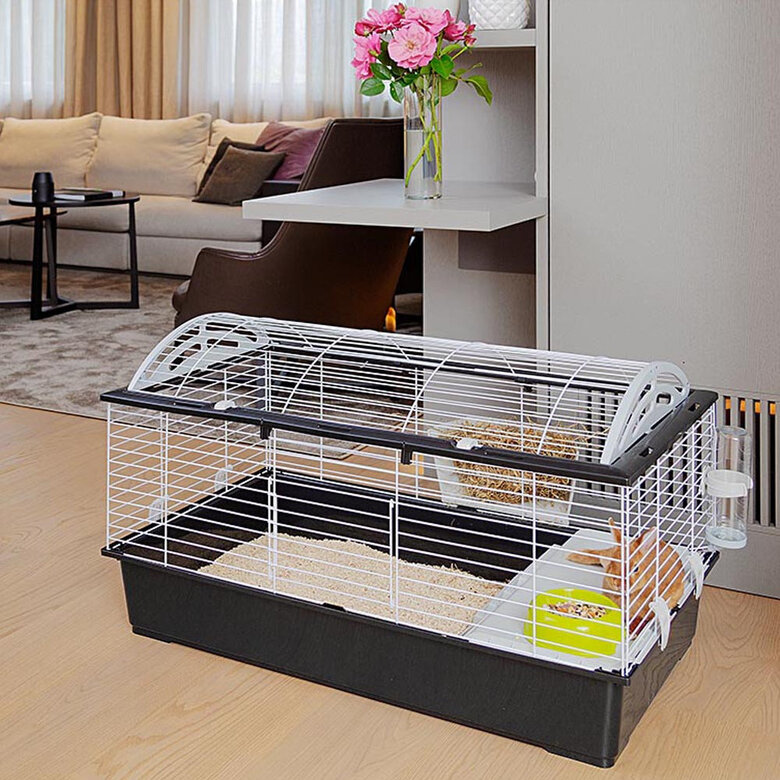 Ferplast - Cage Casita 100 pour Grands Rongeurs - 96cm Image numéro 3 Ferplast - Cage Casita 100 pour Grands Rongeurs - 96cm Image numéro 3
