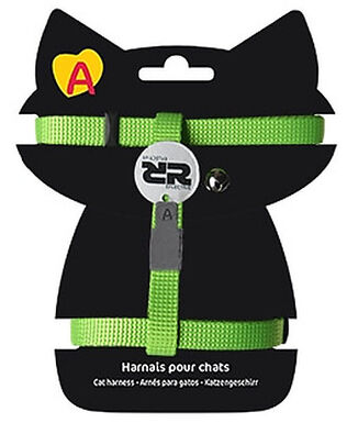 Animalis - Harnais Basic pour Chat - Vert