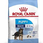 Royal Canin - Croquettes Maxi Puppy pour Chiot - 15Kg image number null
