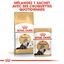 Royal Canin - Sachets Persian en Mousse pour Chat - 12x85g Indicateur image numéro 5