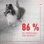 Royal Canin - Aliment Complémentaire Adult Skin & Coat Chews pour Chiens - 240g Indicateur image numéro 6