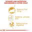 Royal Canin - Sachets Persian en Mousse pour Chat - 12x85g Indicateur image numéro 4