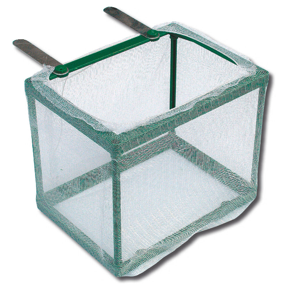 Amtra - Isoloir &agrave; Alevins en Filet Image num&eacute;ro 1