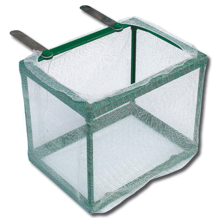 Amtra - Isoloir à Alevins en Filet Image numéro 1 Amtra - Isoloir à Alevins en Filet Image numéro 1