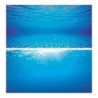 Juwel - Poster 2 de Taille XL pour Aquarium - 150x50cm image number null
