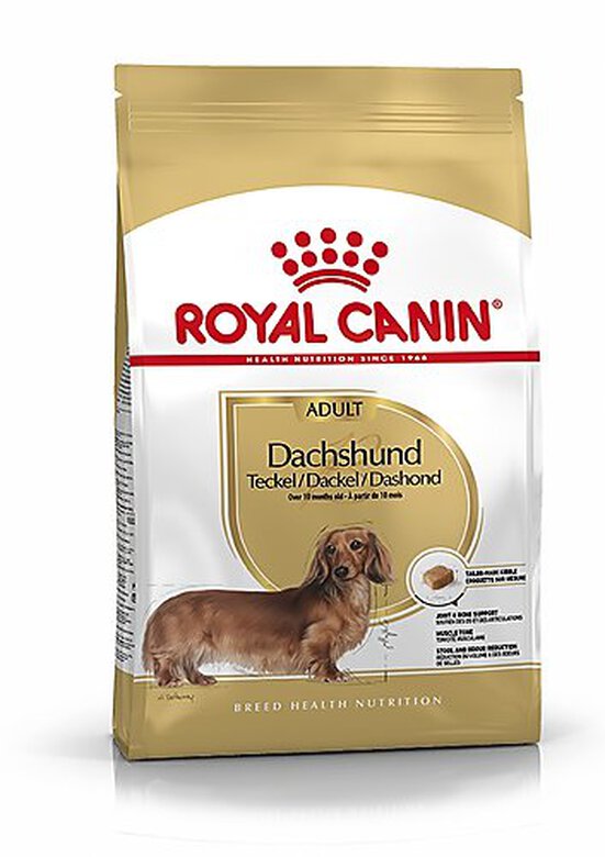 Royal Canin - Croquettes Teckel pour Chien Adulte - 1,5Kg Image numéro 1 Royal Canin - Croquettes Teckel pour Chien Adulte - 1,5Kg Image numéro 1