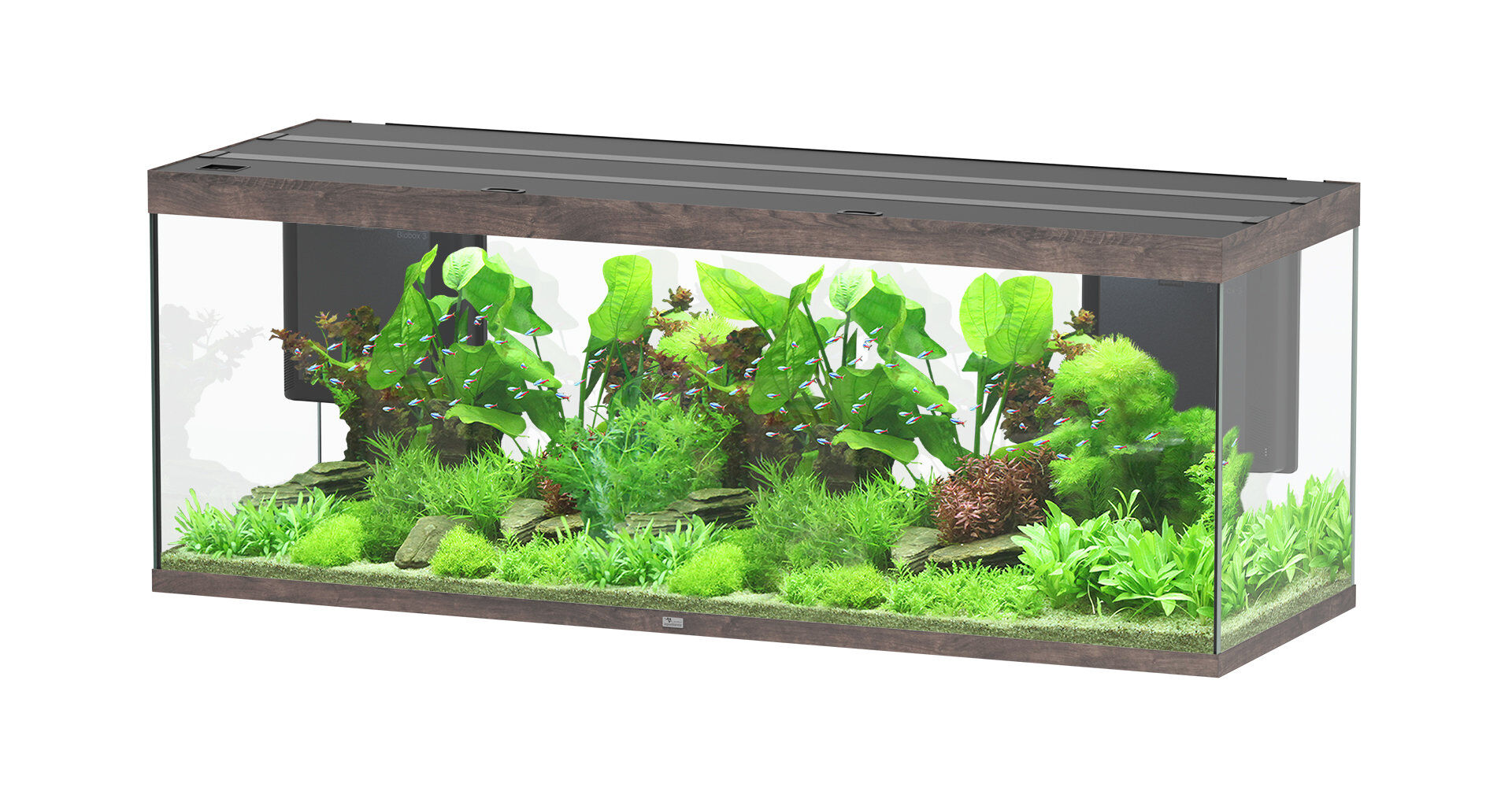 Aquatlantis - Aquarium SUBLIME ULTRA 200x70 LED RGBW 853L - Ch&ecirc;ne Brun Image num&eacute;ro 1
